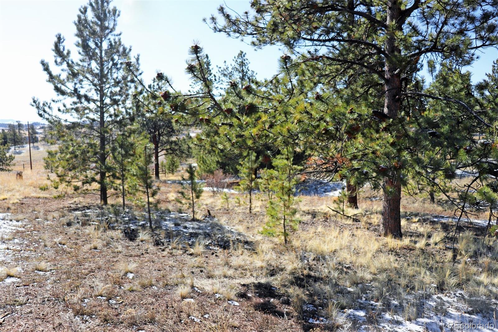 4441 Campfire Road Hartsel, CO 80449 - Photo 6 of 15 a view of yard