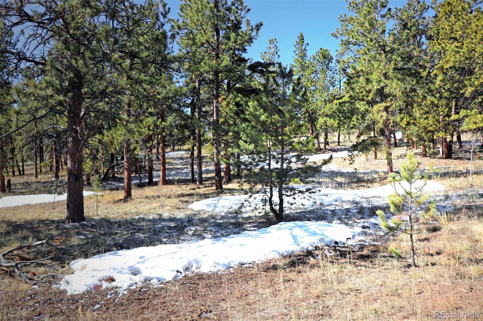 4441 Campfire Road Hartsel, CO 80449 - Photo 8 of 15 a view of a yard covered with snow in the yard