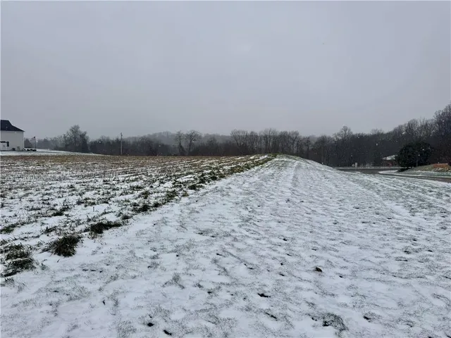 a view of a dry yard with trees