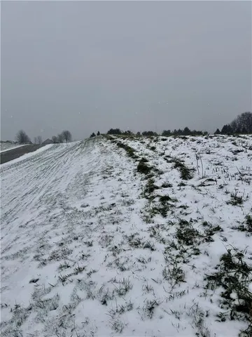 a view of a dry yard with a mountain in the background