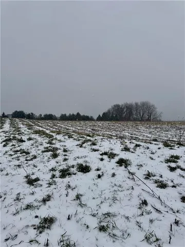 a view of a dry yard