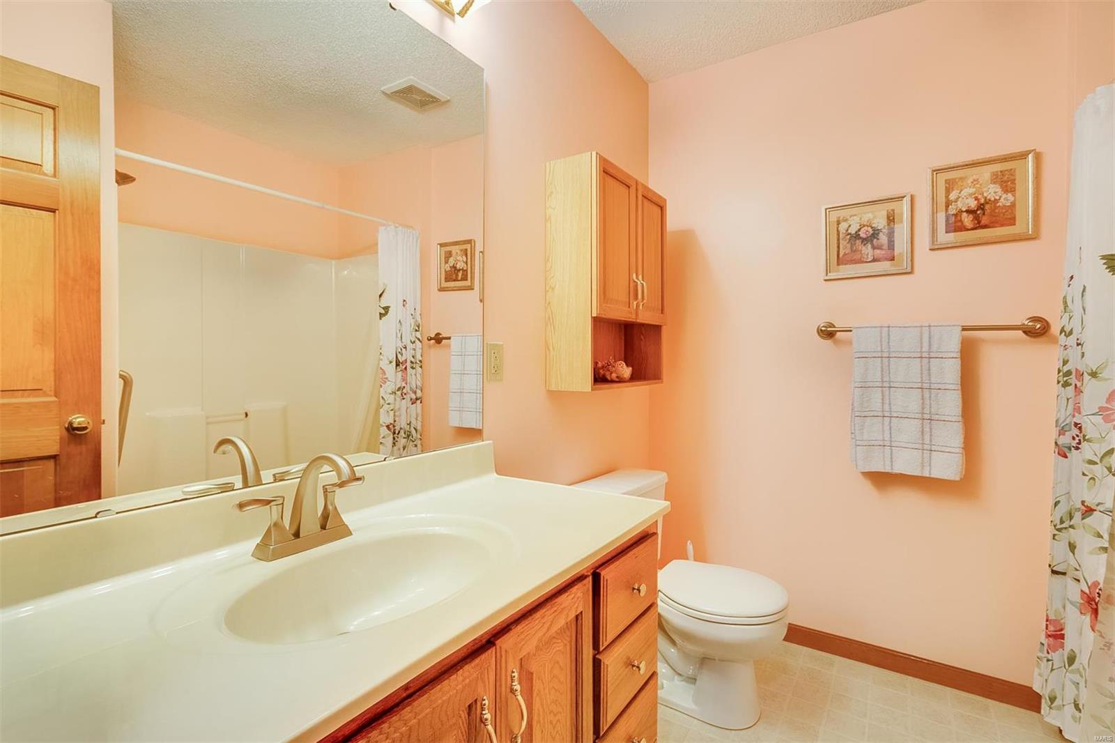 916 North Rapp Avenue Columbia, IL 62236 - Photo 22 of 27 Gallery Image 22