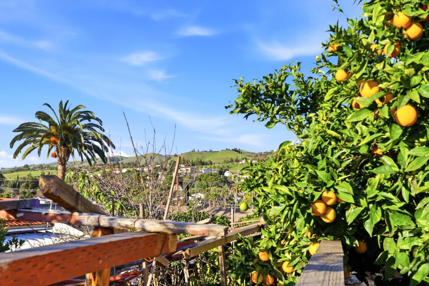 3561 Story Road San Jose, CA 95127 - Photo 43 of 45