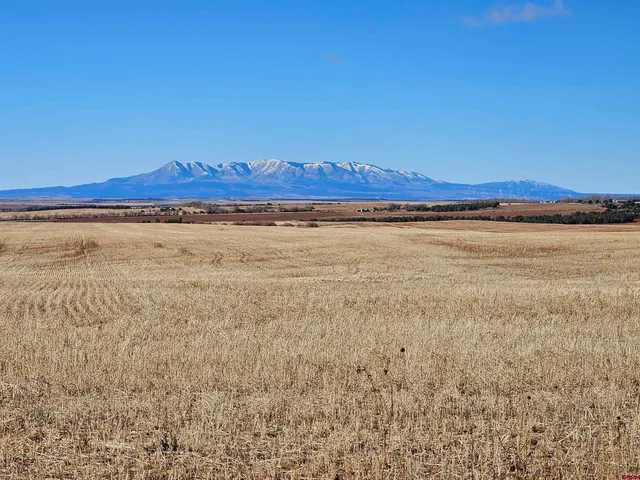 a view of an ocean and beach