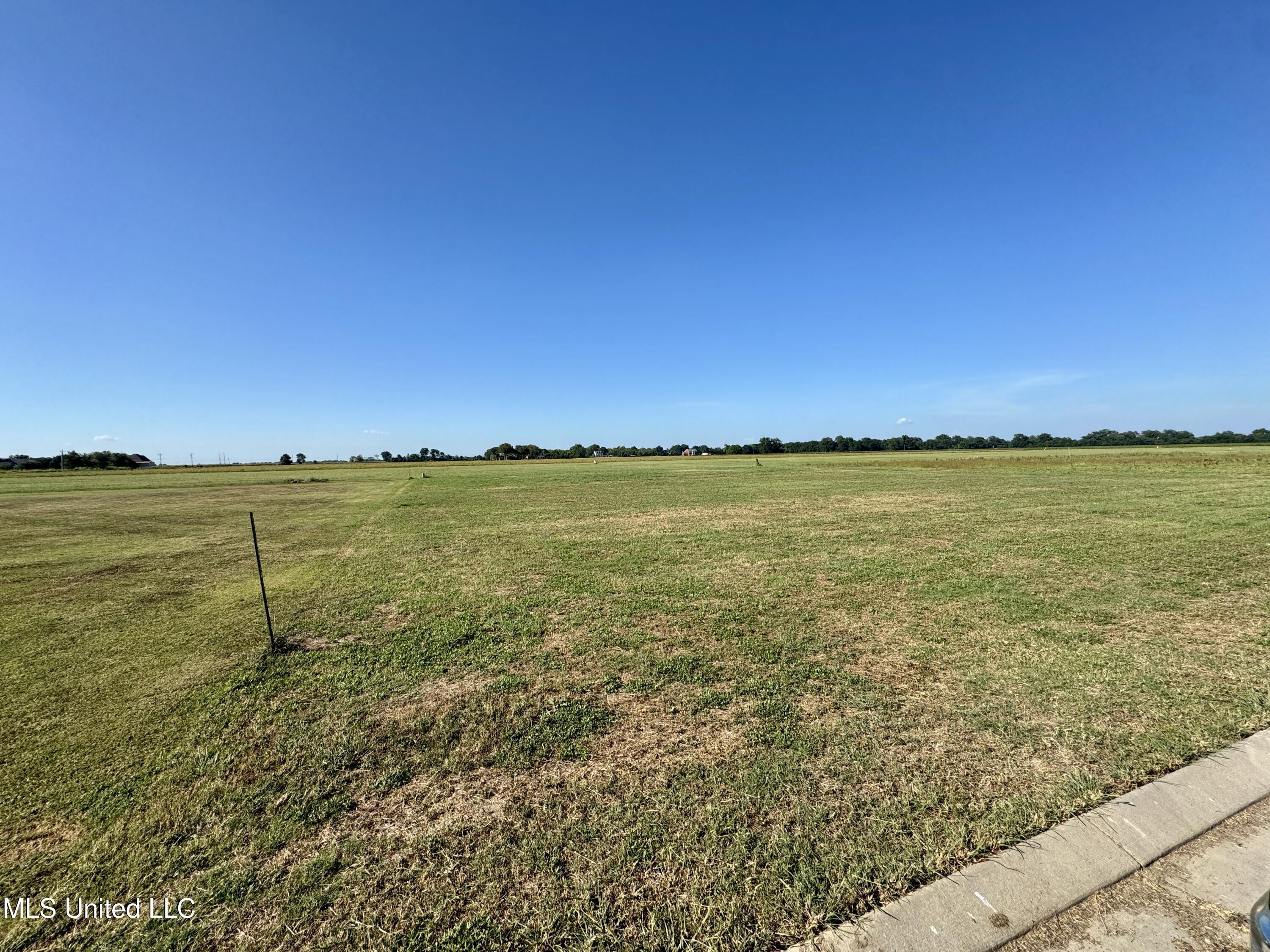 Chatmoss 2nd Cleveland, MS 38732 - Photo 5 of 7 IMG_3656