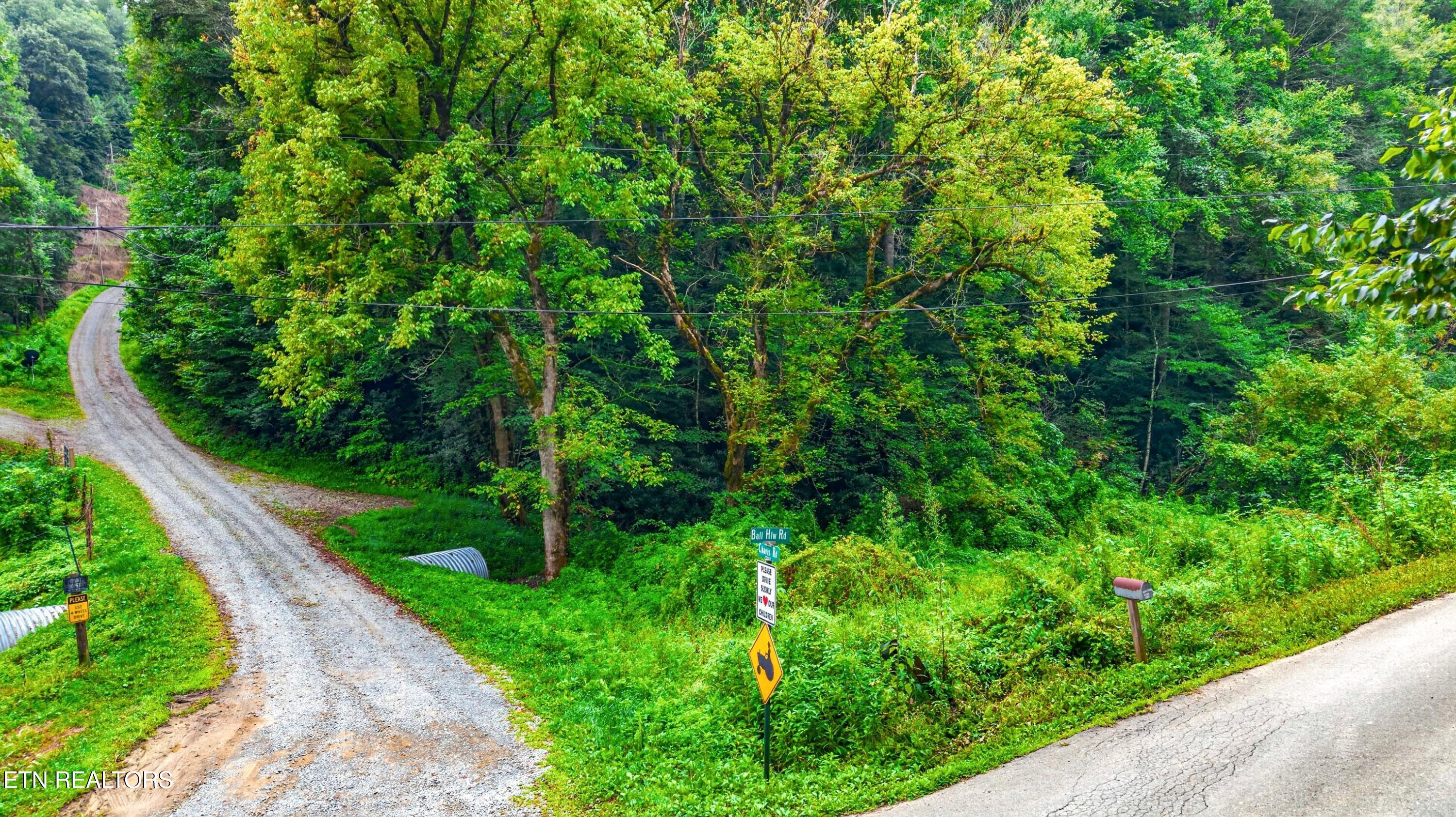 Chavis Road Cosby, TN 37722 - Photo 15 of 16 003-ChavisRoad-Cosby-TN-SMALL