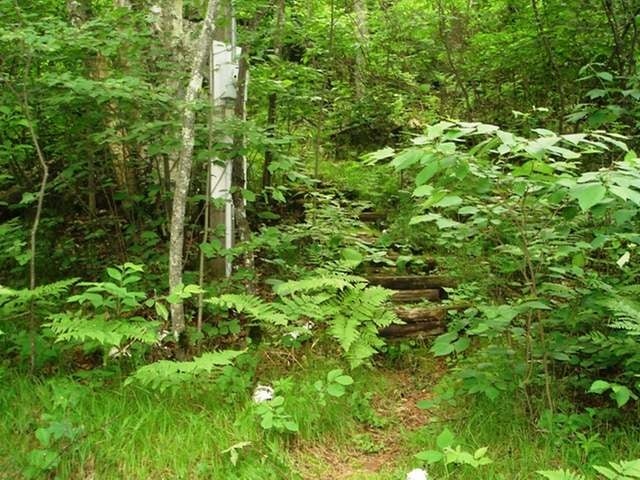 On Callahan Road Tomahawk, WI 54487 - Photo 15 of 18 Gallery Image 15