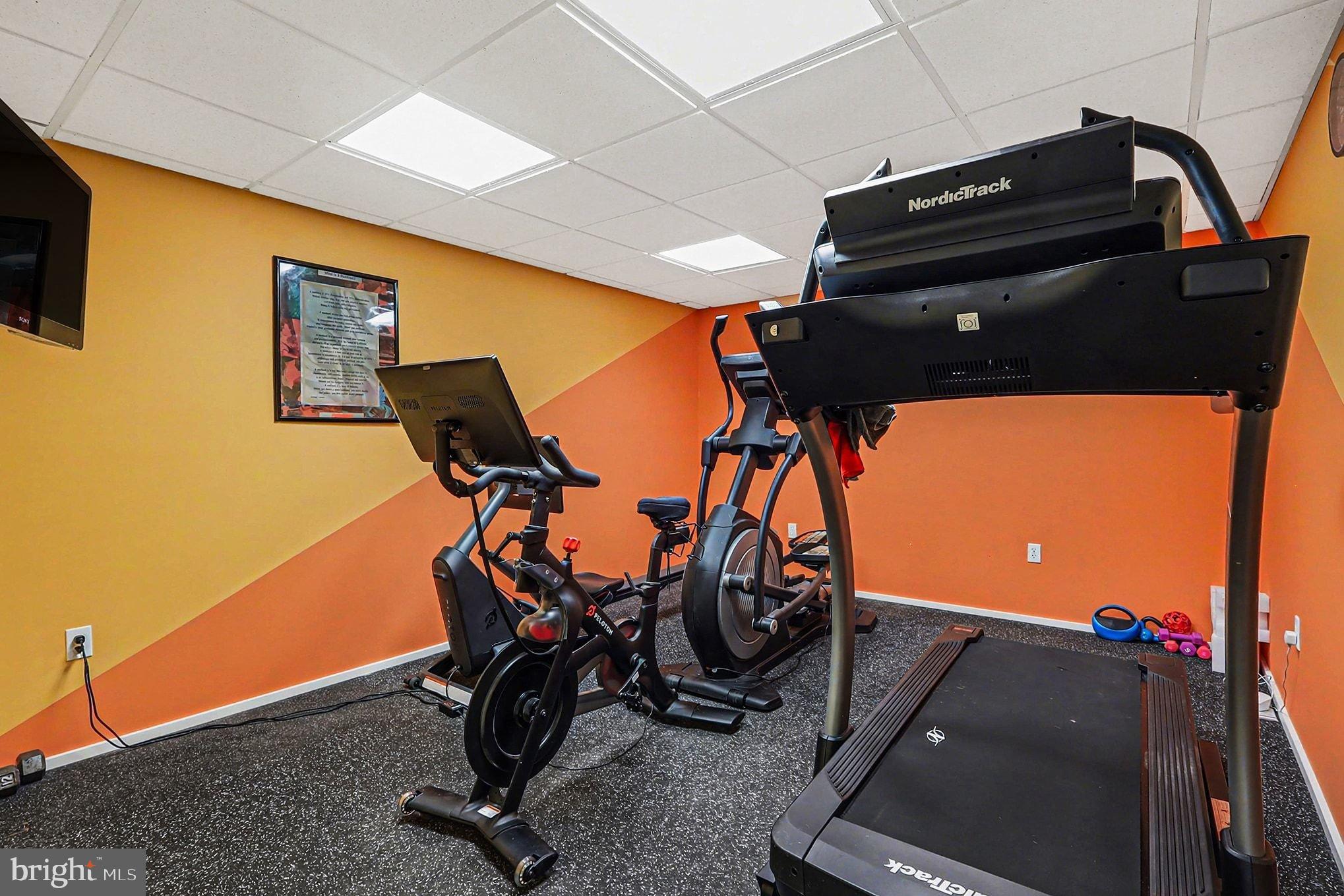 8318 Diamond Hill Road Warrenton, VA 20186 - Photo 39 of 88 a view of a room with gym equipment