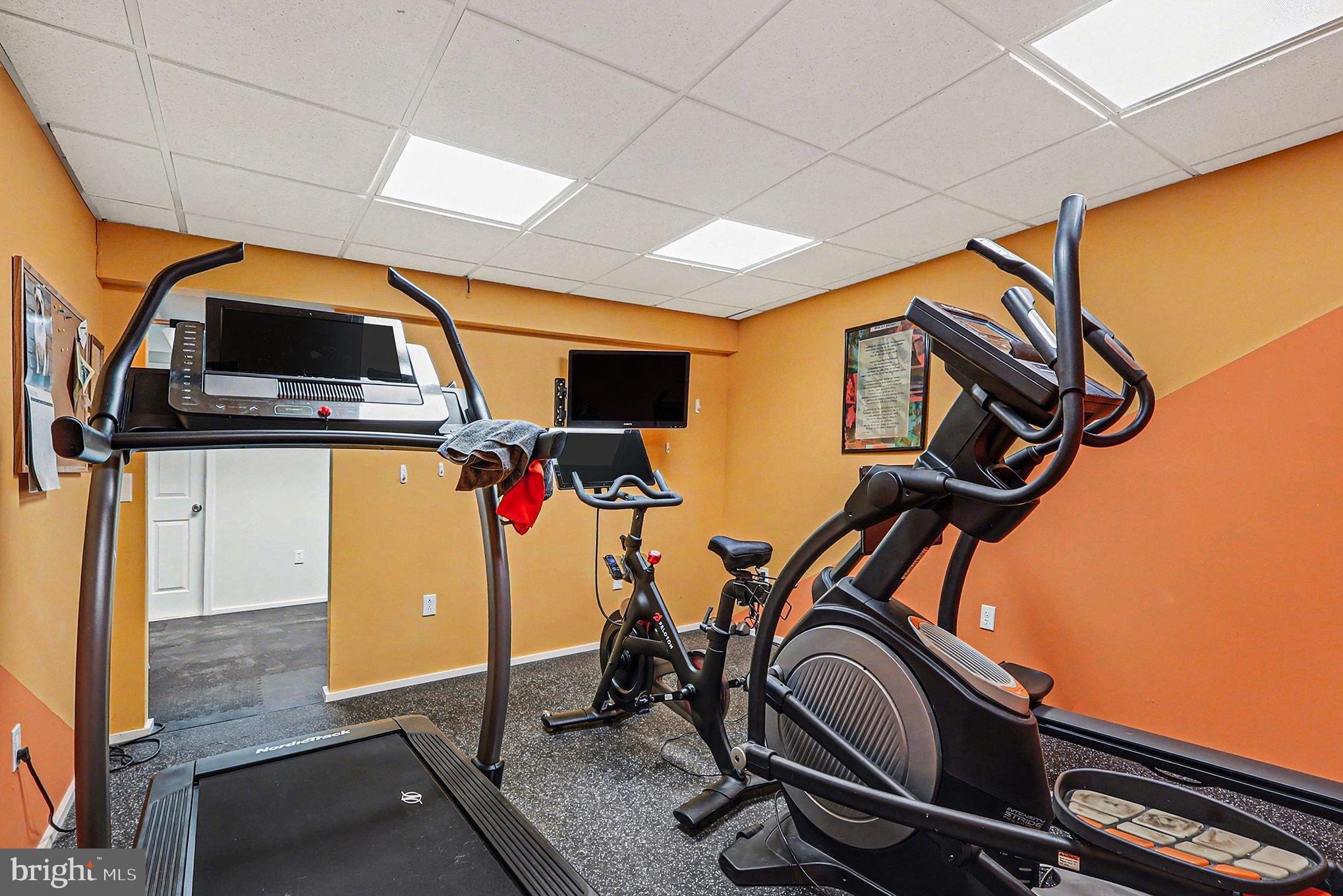 8318 Diamond Hill Road Warrenton, VA 20186 - Photo 40 of 88 a view of a room with gym equipment