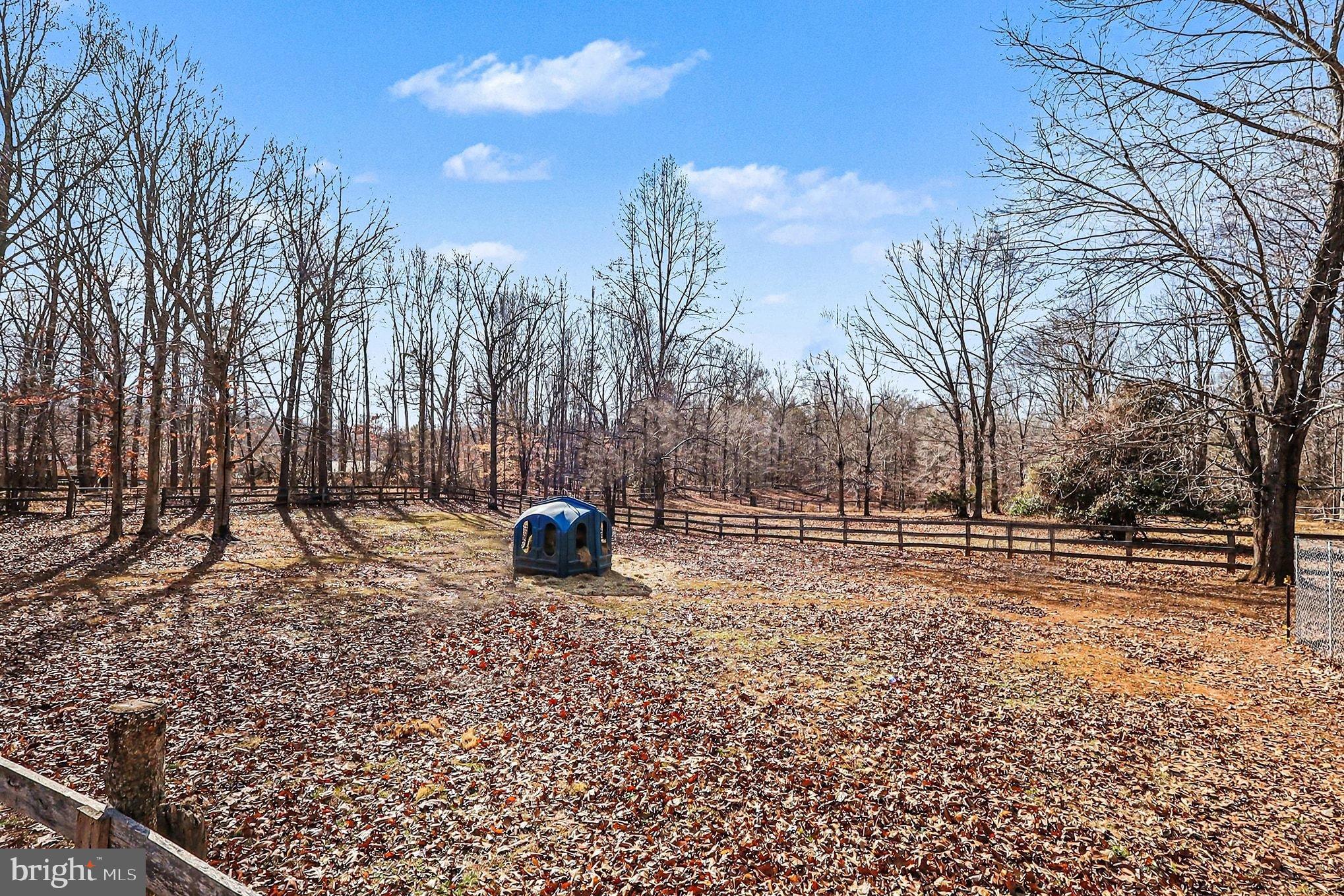 8318 Diamond Hill Road Warrenton, VA 20186 - Photo 73 of 88 a backyard of a house with table and chairs