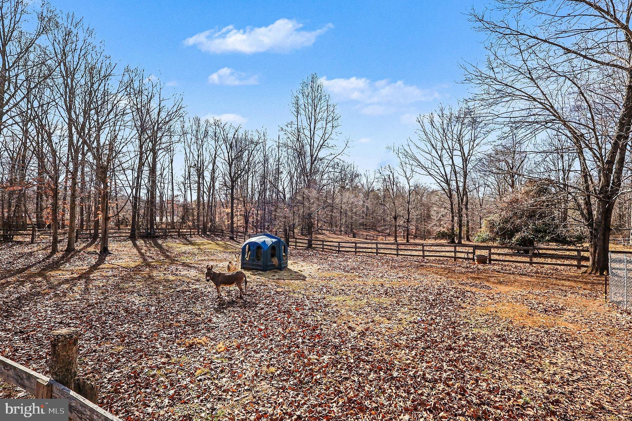8318 Diamond Hill Road Warrenton, VA 20186 - Photo 74 of 88 a backyard of a house with table and chairs