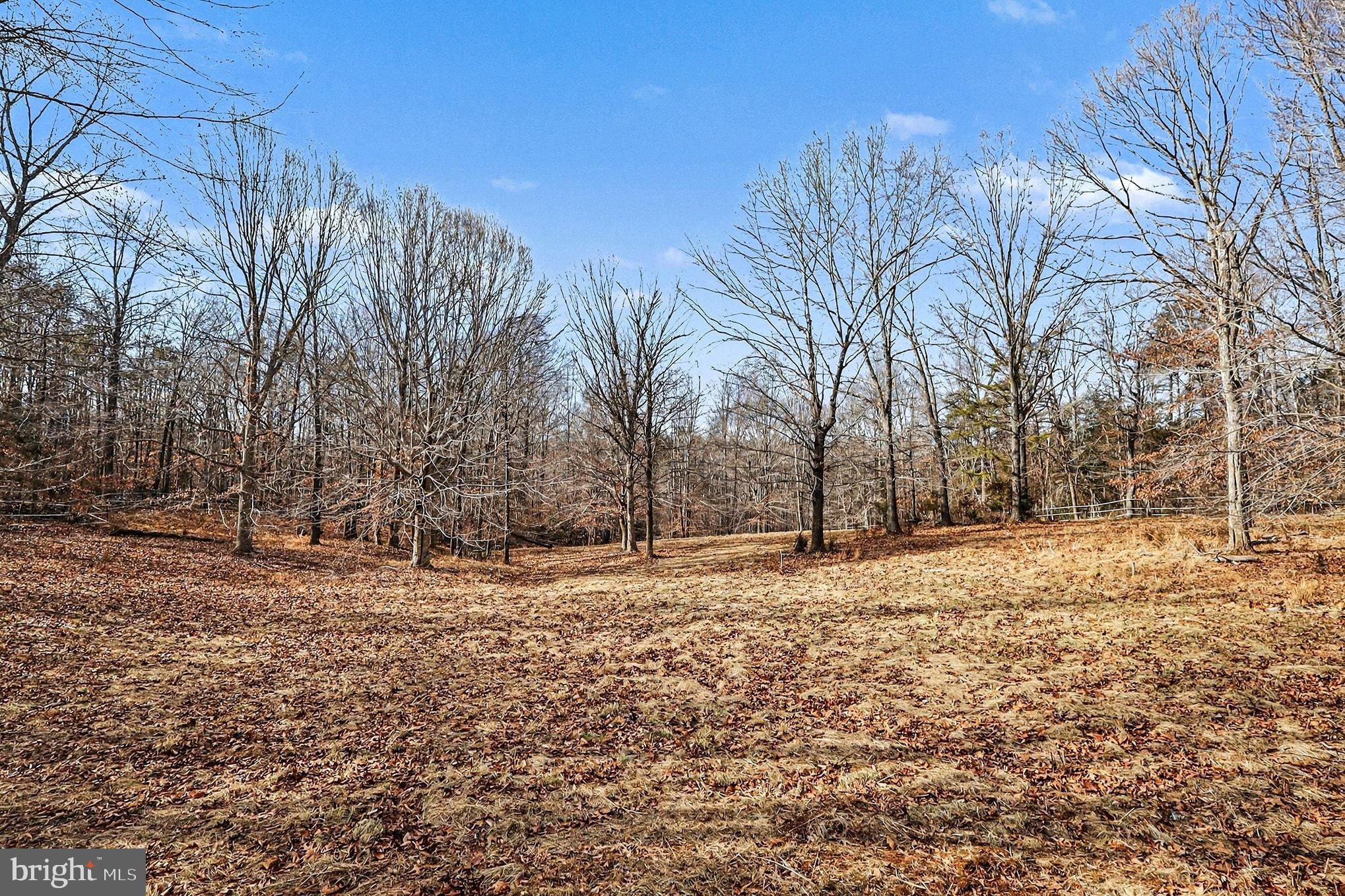 8318 Diamond Hill Road Warrenton, VA 20186 - Photo 75 of 88 Serene landscape of winter's embrace.
