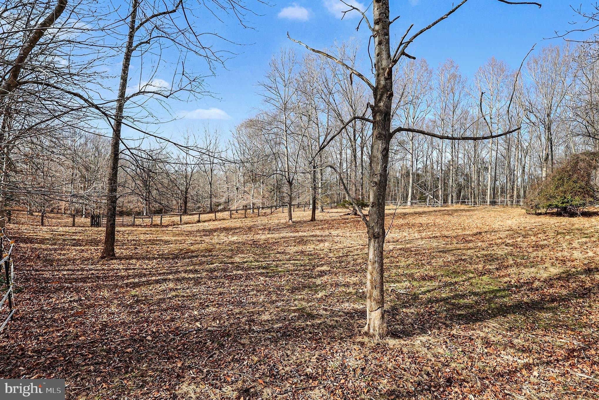8318 Diamond Hill Road Warrenton, VA 20186 - Photo 76 of 88 Serene wooded landscape in winter's embrace.