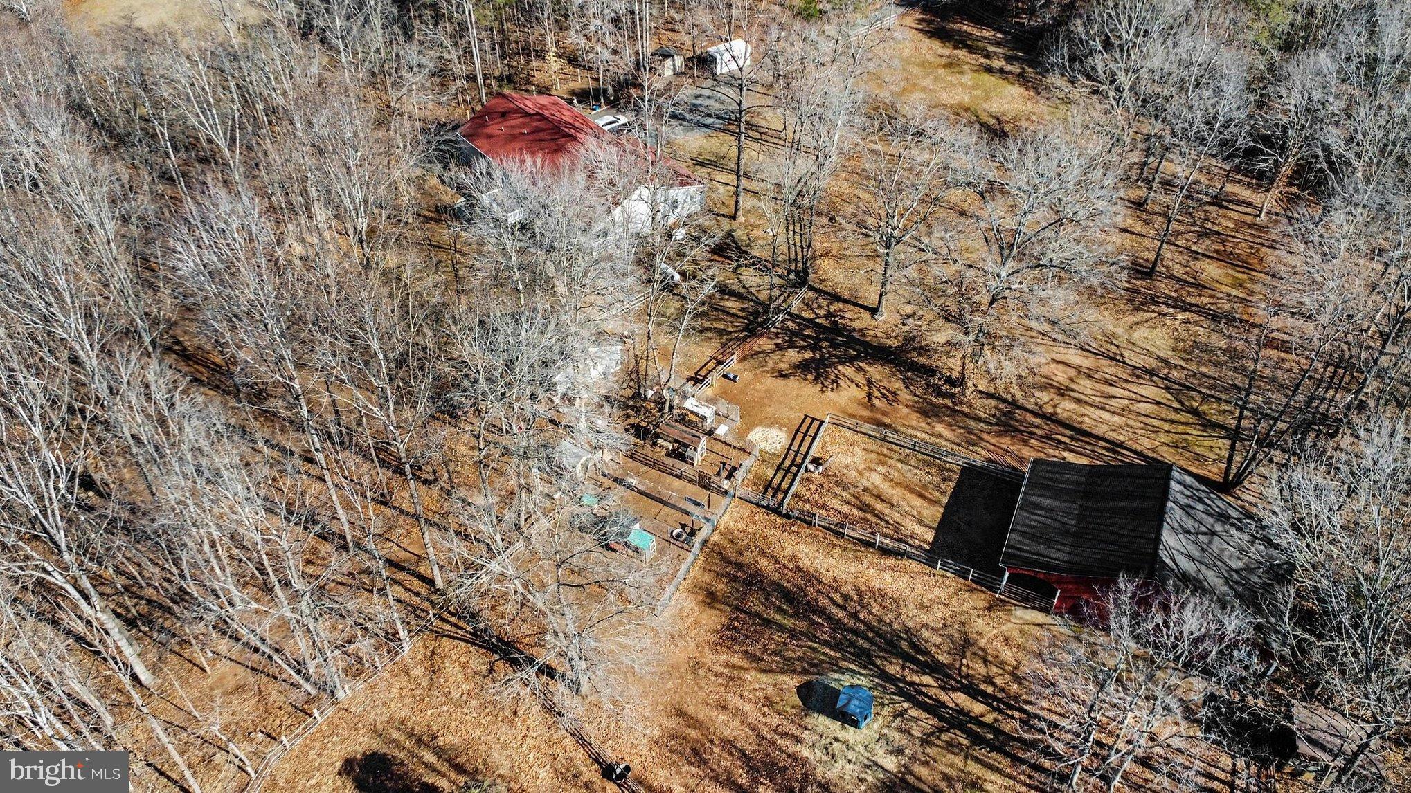 8318 Diamond Hill Road Warrenton, VA 20186 - Photo 86 of 88 Serene woodland retreat with rustic charm.