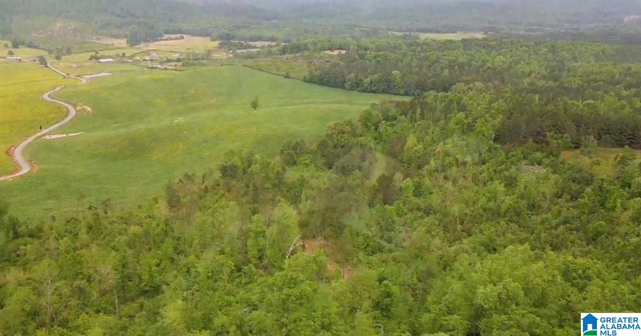 1735 Nature Trail Jacksonville, AL 36265 - Photo 6 of 22