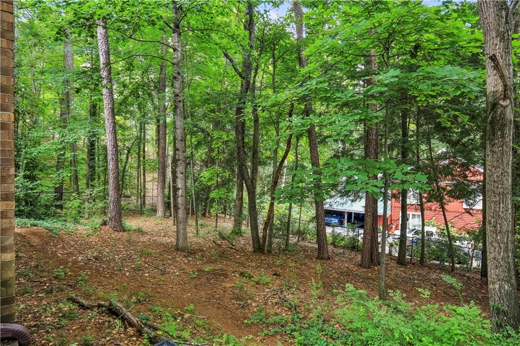 1605 Saint Tropez Way Atlanta, GA 30350 - Photo 28 of 29 a view of a forest filled with trees