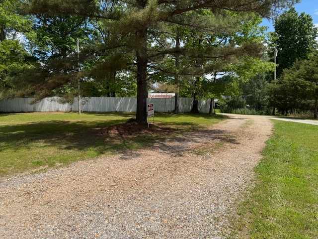 108 Hunters Lane Hohenwald, TN 38462 - Photo 4 of 16 a view of a tree in the middle of a yard