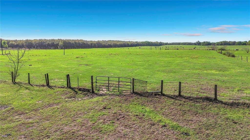 855 Northeast 107th Road Oxford, FL 34484 - Photo 43 of 59
