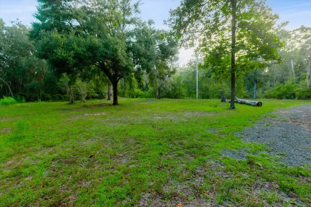 a view of a yard with a tree
