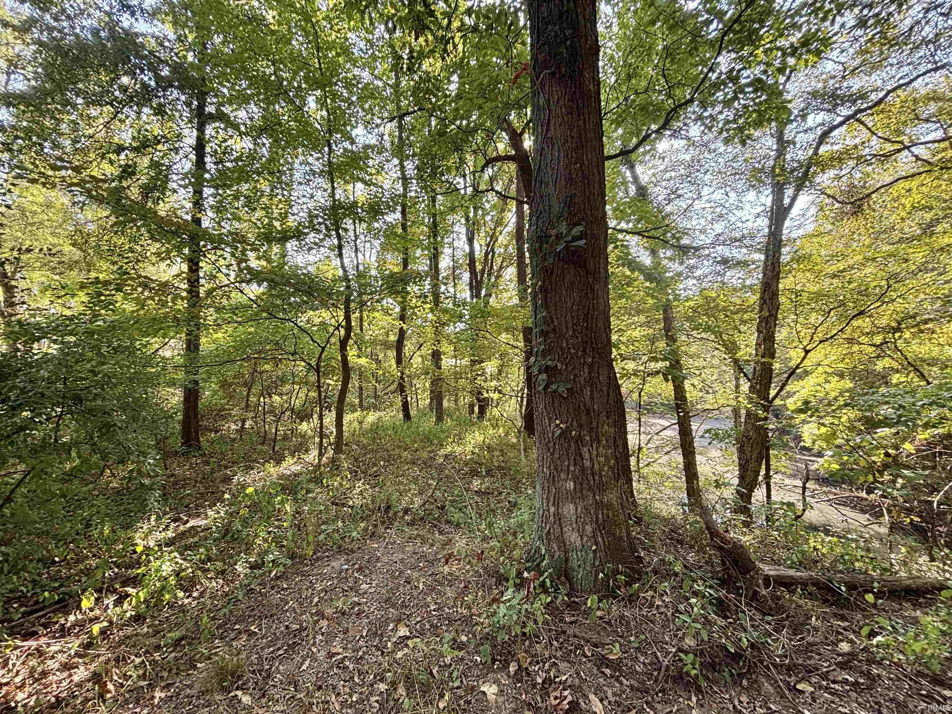 0 State Road Jasonville, IN 47438 - Photo 2 of 7