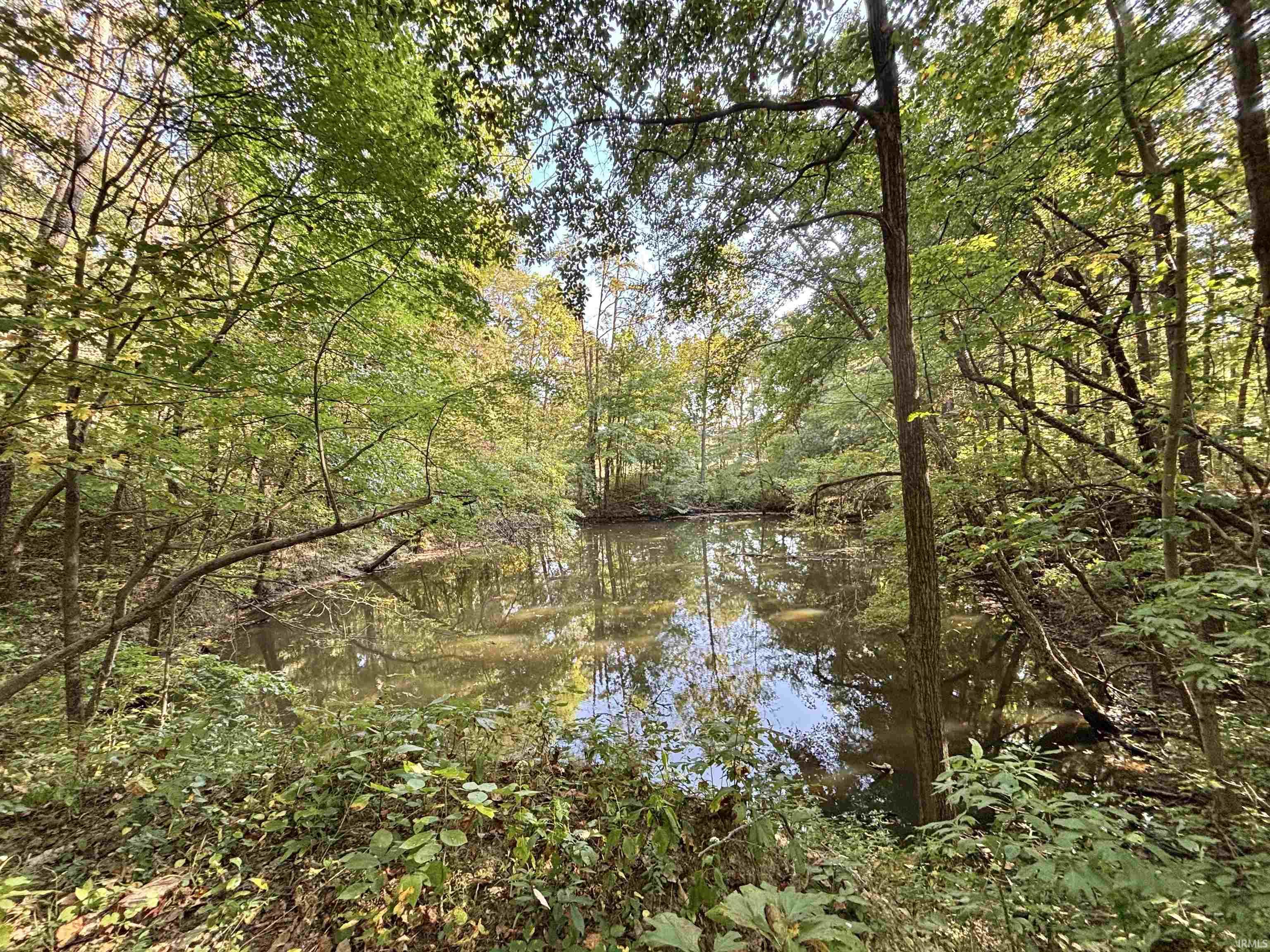 0 State Road Jasonville, IN 47438 - Photo 4 of 7