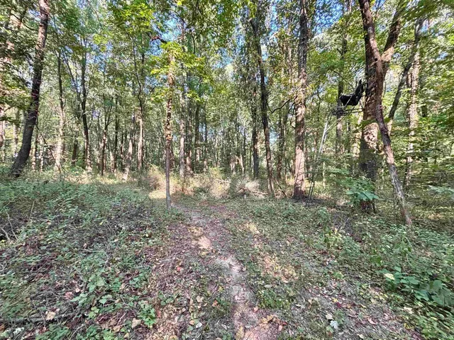 $189,900 | 0 State Road, Jasonville, IN 47438