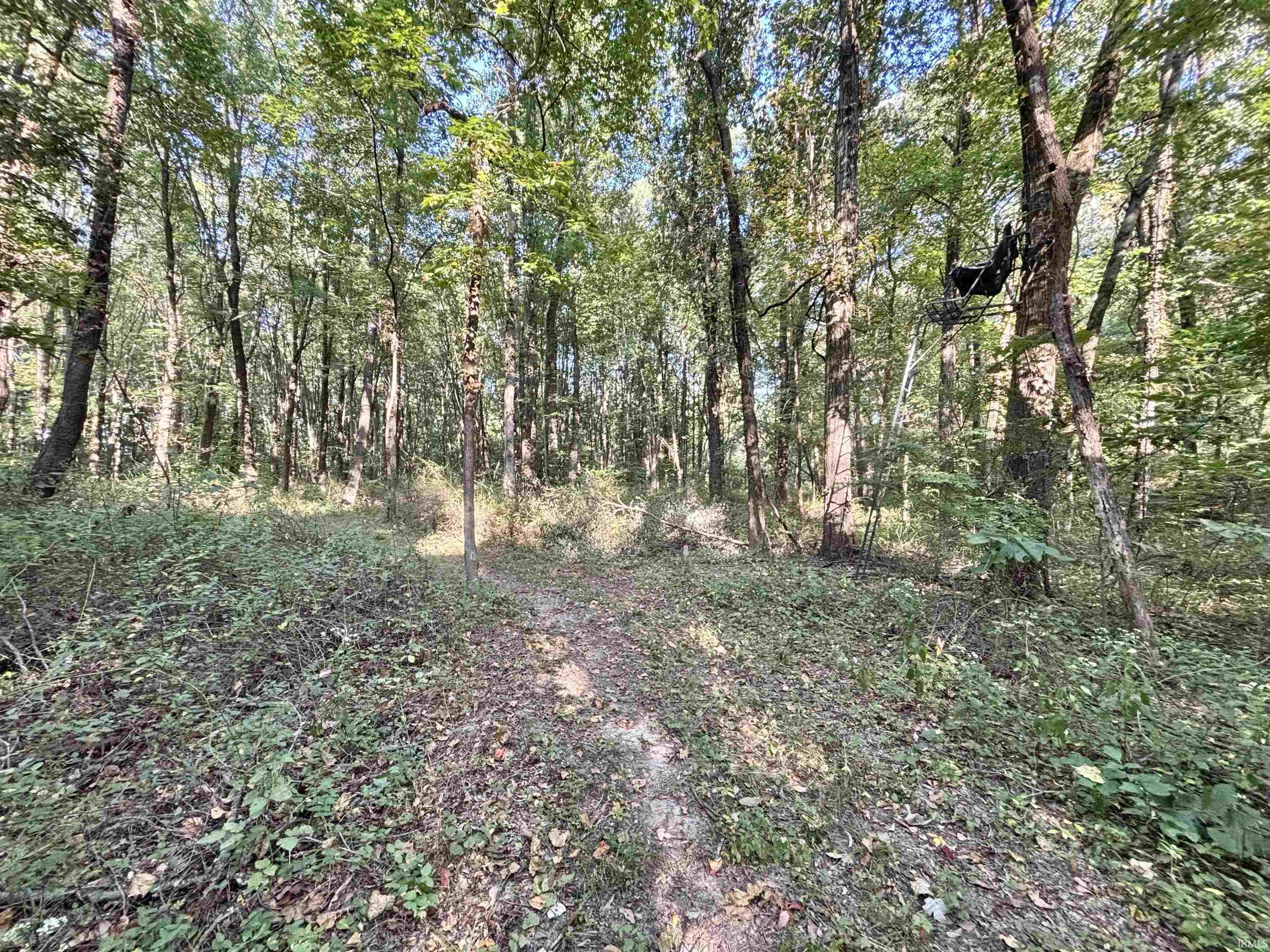 0 State Road Jasonville, IN 47438 - Photo 5 of 7