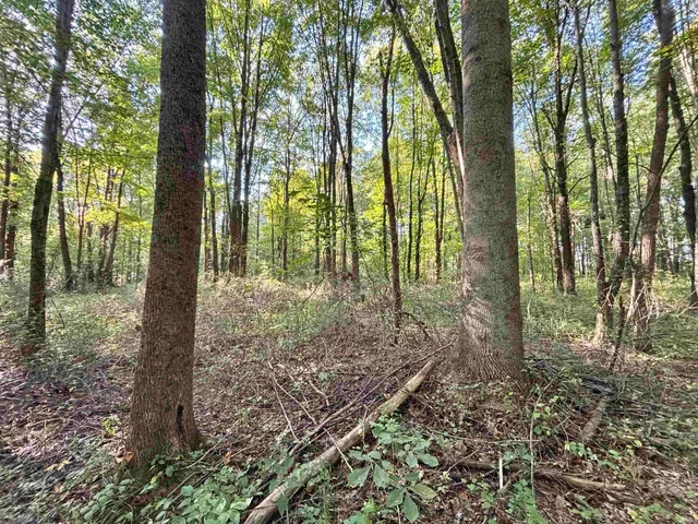 $189,900 | 0 State Road, Jasonville, IN 47438