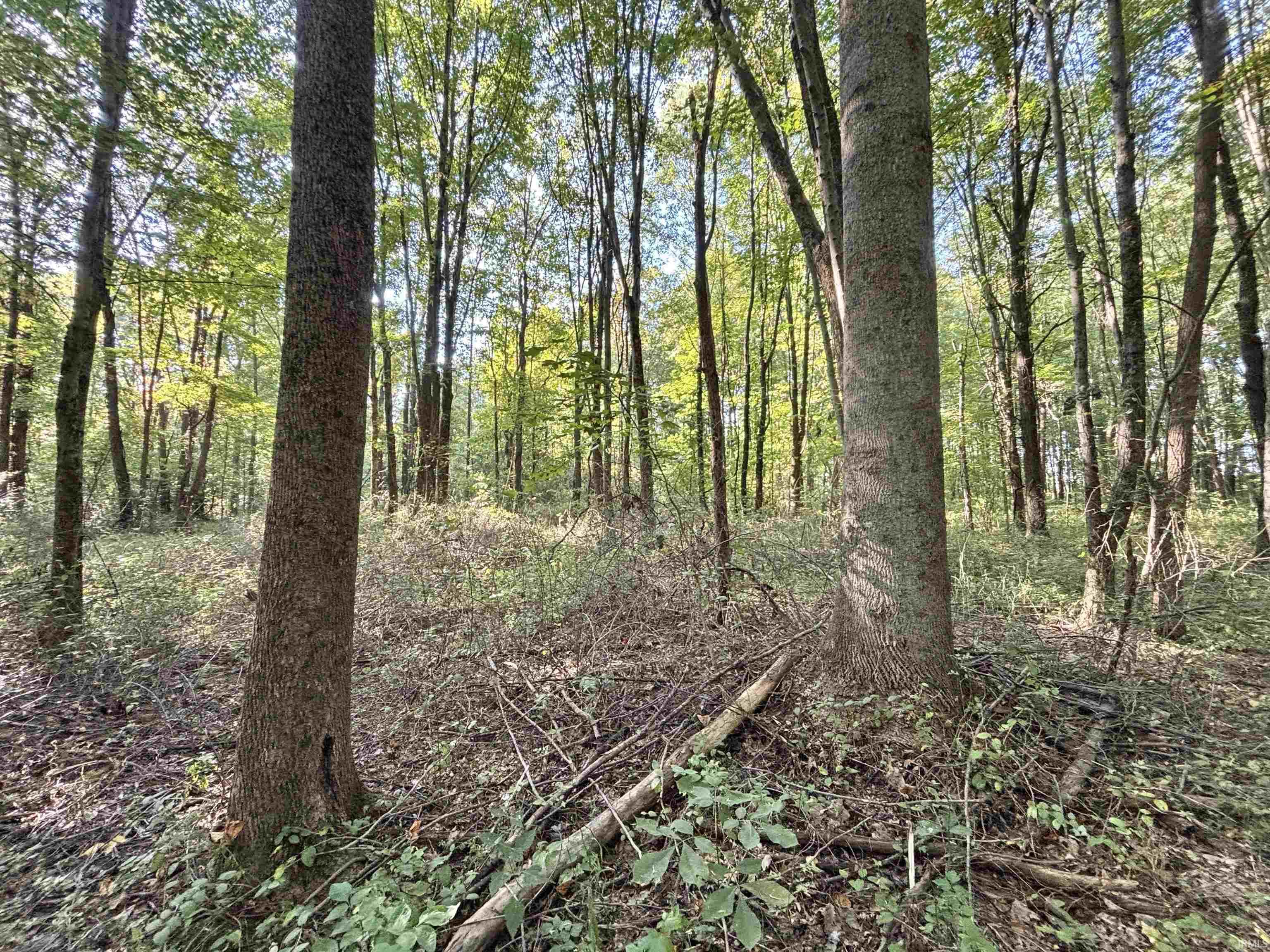 0 State Road Jasonville, IN 47438 - Photo 6 of 7