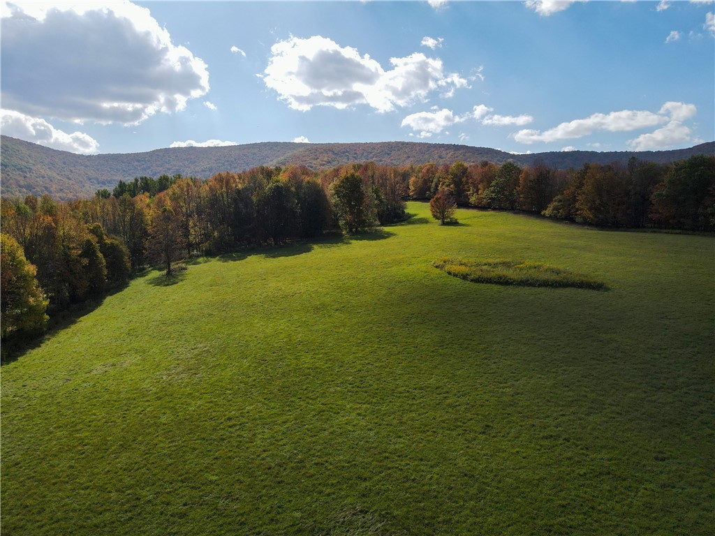 164 Ray Cottone Road Roxbury, NY 12474 - Photo 1 of 33
