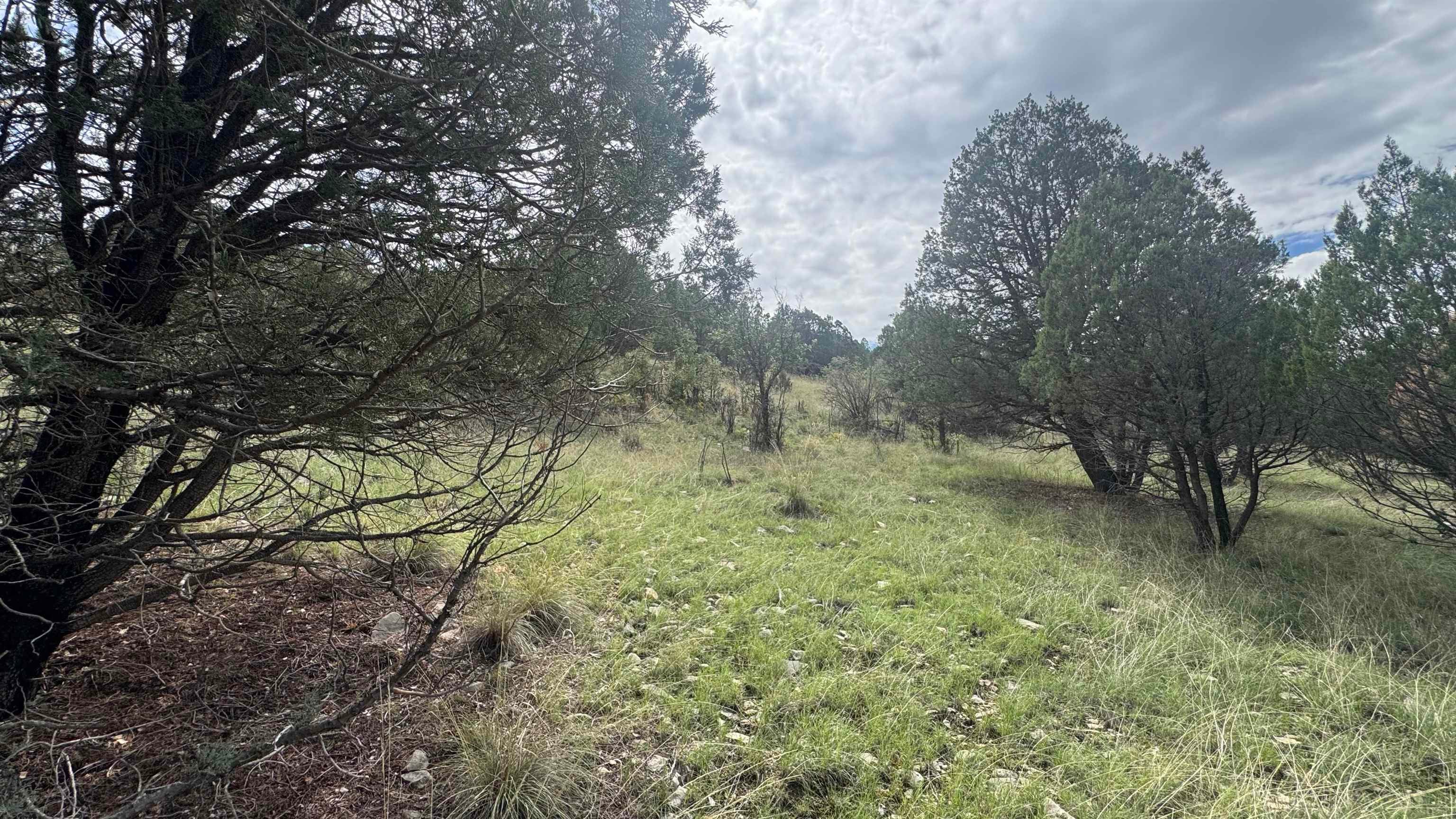 1826 B Rio Penasco Road Mayhill, NM 88339 - Photo 6 of 8 Gallery Image 6