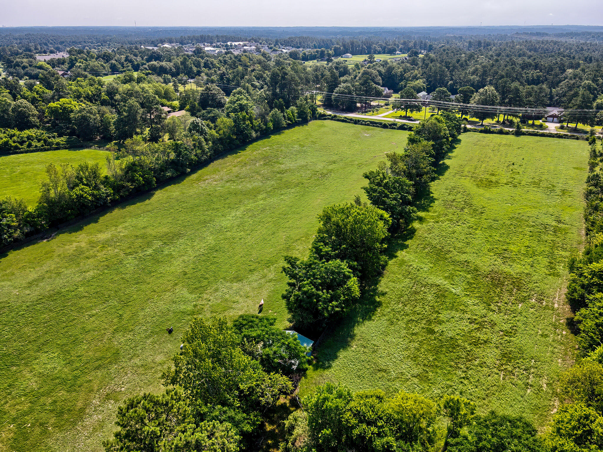 1290 Richardsons Lake Road Aiken, SC 29803 - Photo 53 of 101