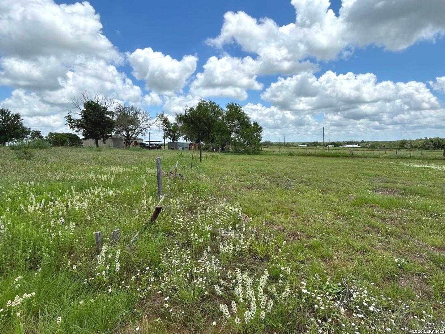 1460 Sandy Elm Road La Vernia, TX 78121 - Photo 14 of 25