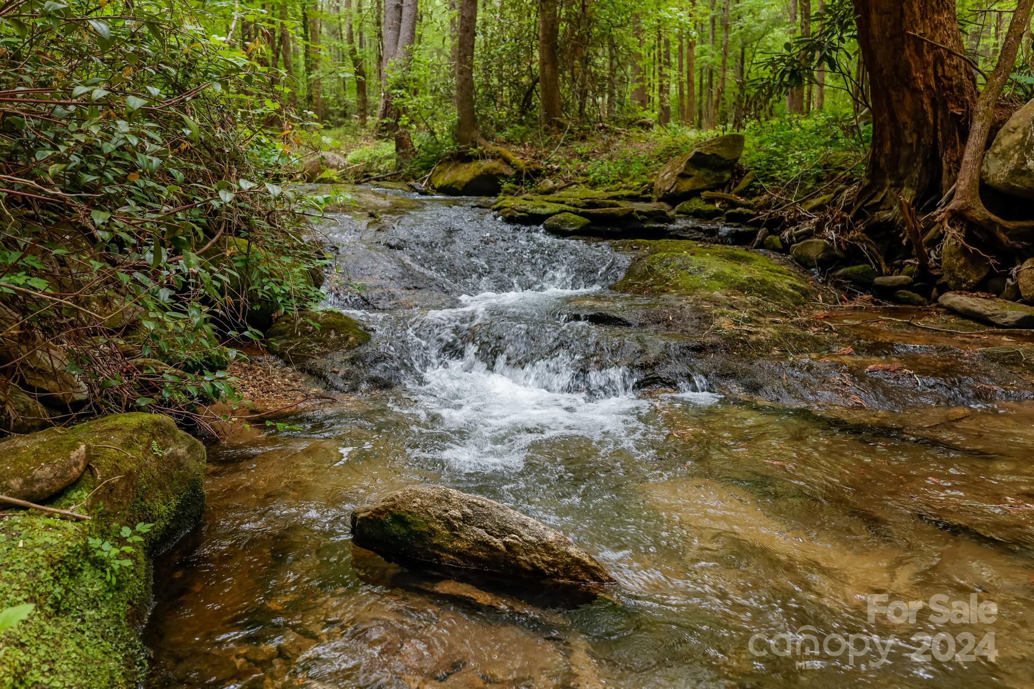 997 Proctor Road Lake Lure, NC 28746 - Photo 35 of 43 a view of backyard with green space