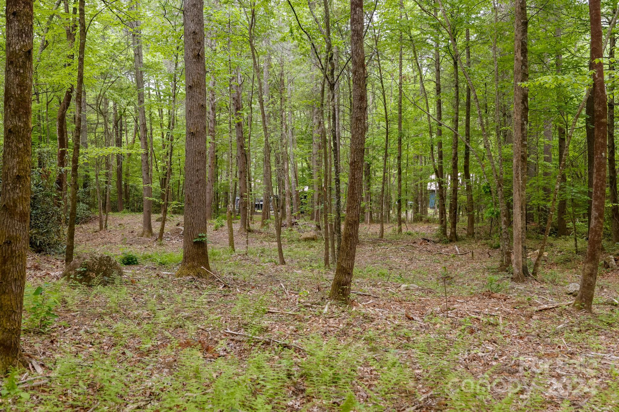 997 Proctor Road Lake Lure, NC 28746 - Photo 36 of 43 a view of an outdoor space and garden