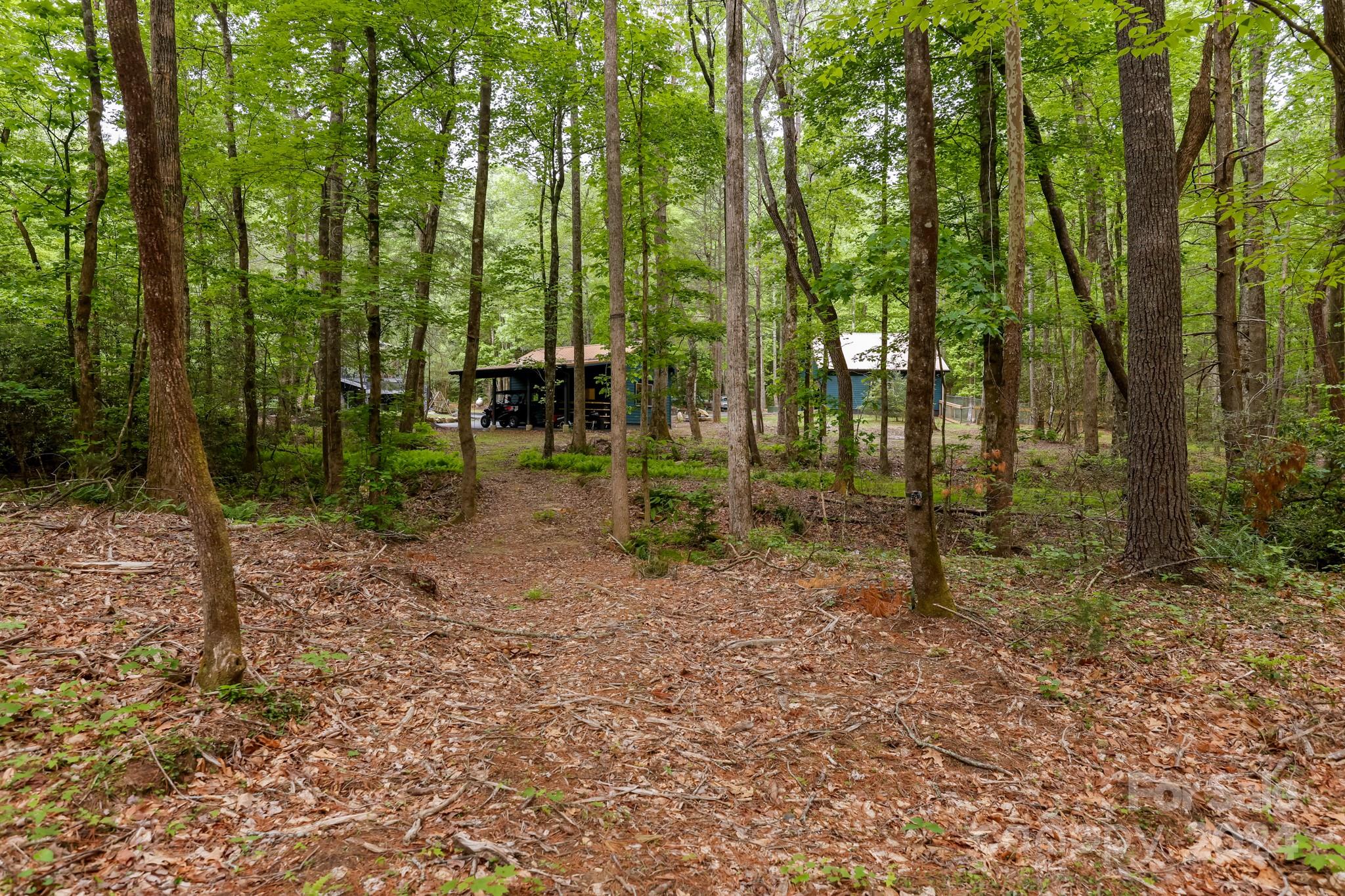 997 Proctor Road Lake Lure, NC 28746 - Photo 38 of 43 a backyard of a house with lots of green space