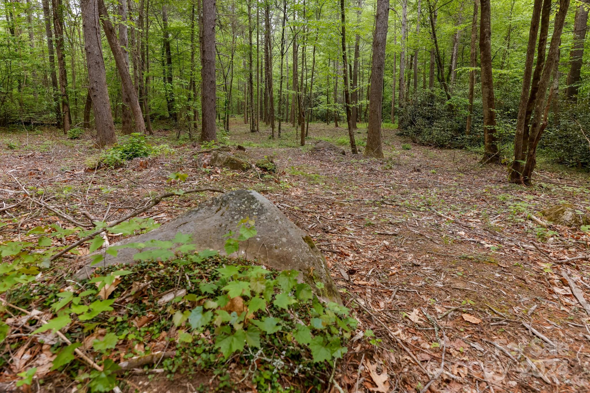997 Proctor Road Lake Lure, NC 28746 - Photo 39 of 43 a view of outdoor space with lots of trees