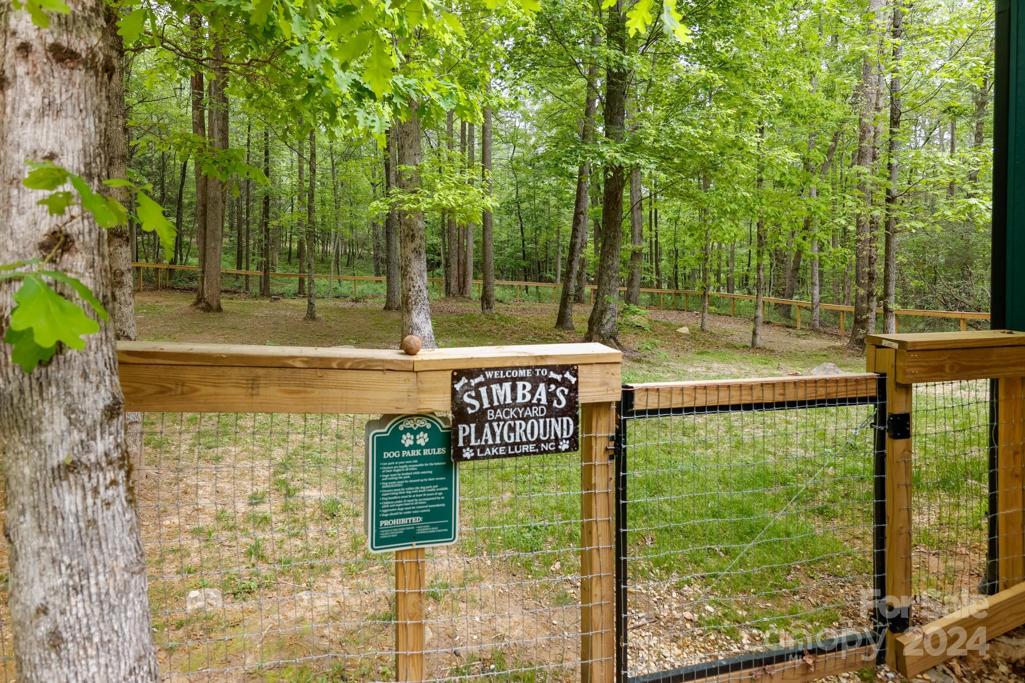 997 Proctor Road Lake Lure, NC 28746 - Photo 40 of 43 a view of a outdoor space