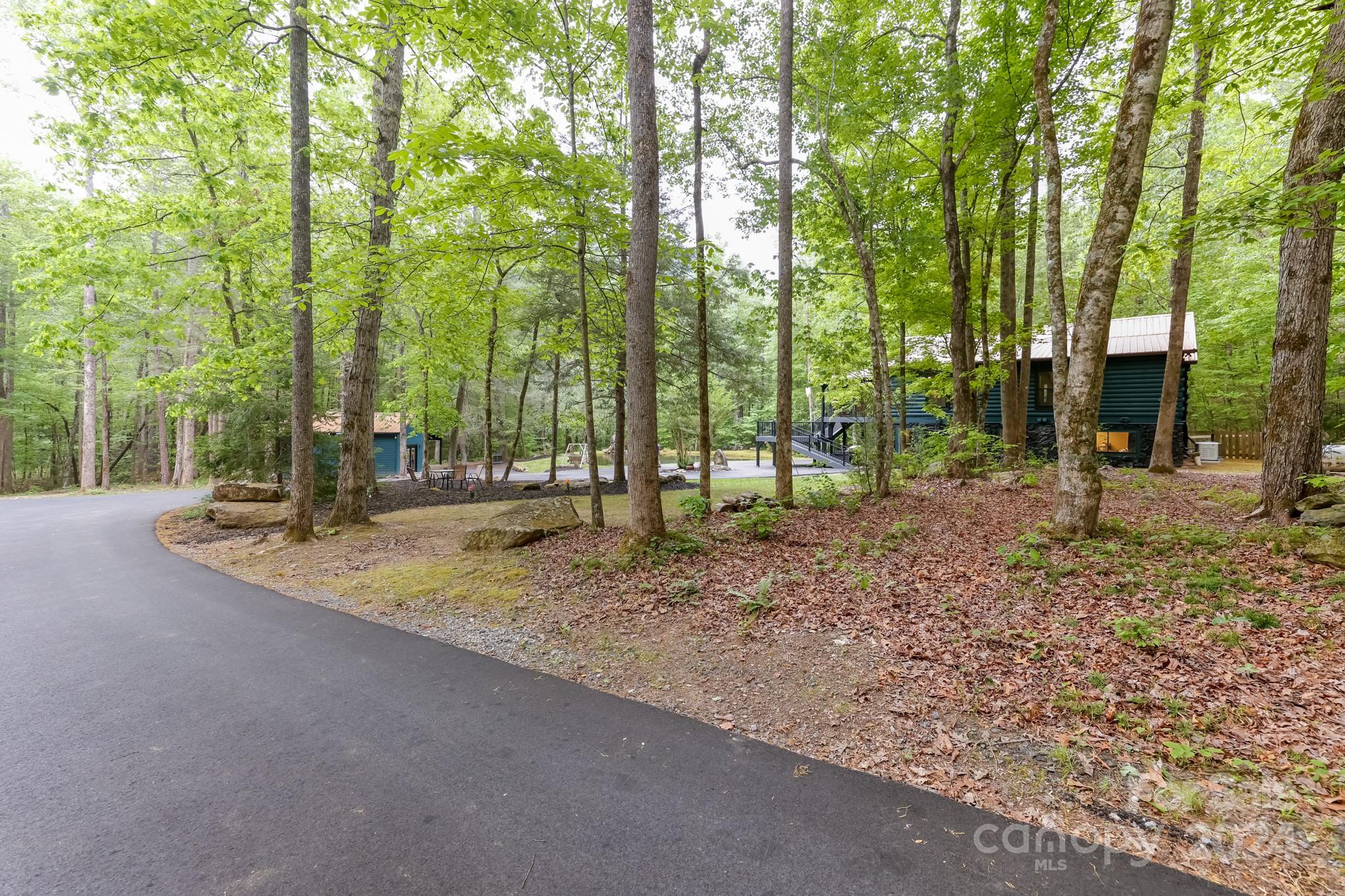 997 Proctor Road Lake Lure, NC 28746 - Photo 41 of 43 a backyard of a house with lots of trees