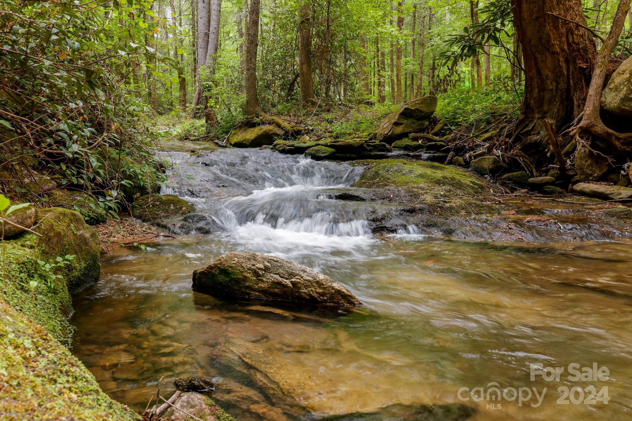 997 Proctor Road Lake Lure, NC 28746 - Photo 7 of 43 a view of backyard with green space