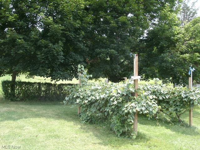 236 Co Road Dillonvale, OH 43917 - Photo 21 of 24 Gallery Image 21