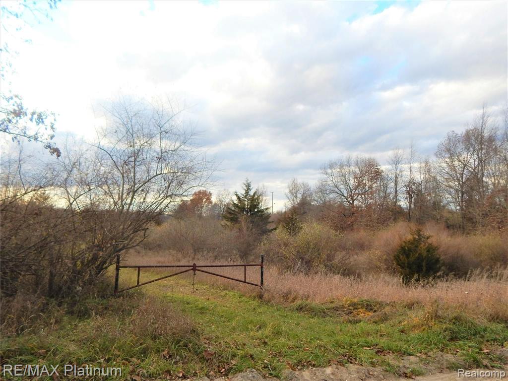 0 Bentley Lake Road Pinckney, MI 48169 - Photo 6 of 24