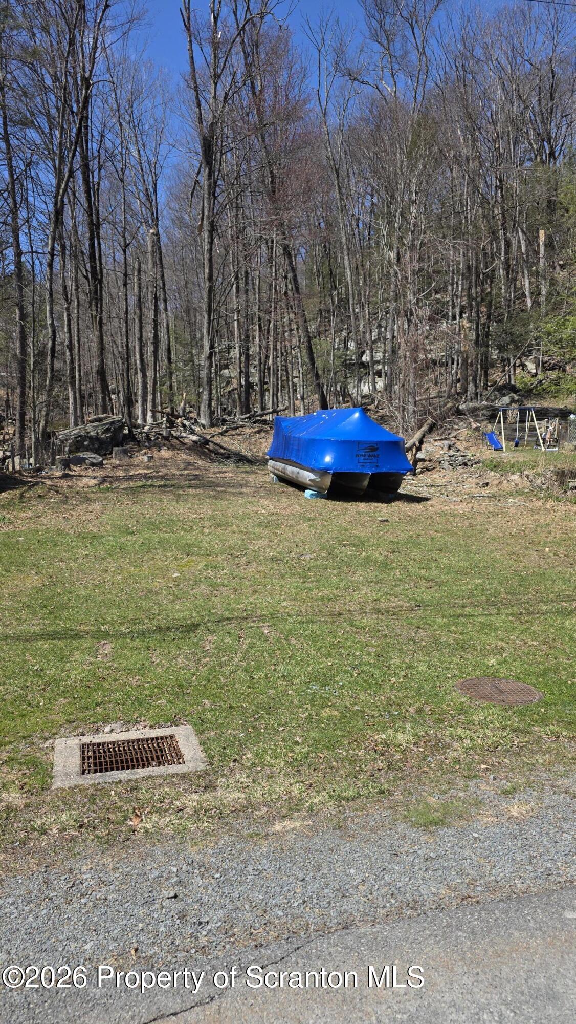 155 Forrest Street Greentown, PA 18426 - Photo 1 of 8 a backyard of a house with lots of green space
