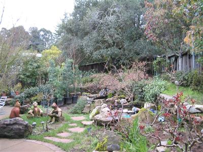 2 Madrona Street San Rafael, CA 94901 - Photo 8 of 8 Gallery Image 8