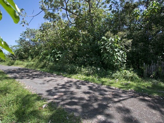 15-1541 Loke Road Keaau, HI 96749 - Photo 15 of 15 Gallery Image 15