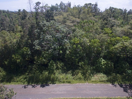 15-1541 Loke Road Keaau, HI 96749 - Photo 7 of 15 Gallery Image 7
