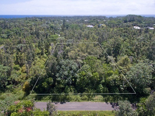 15-1541 Loke Road Keaau, HI 96749 - Photo 8 of 15 Gallery Image 8