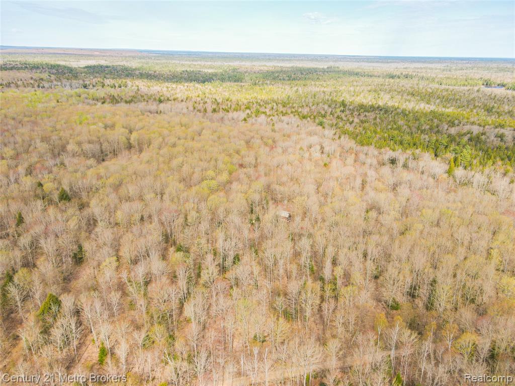 21821 Krenkel Road Newberry, MI 49868 - Photo 27 of 28