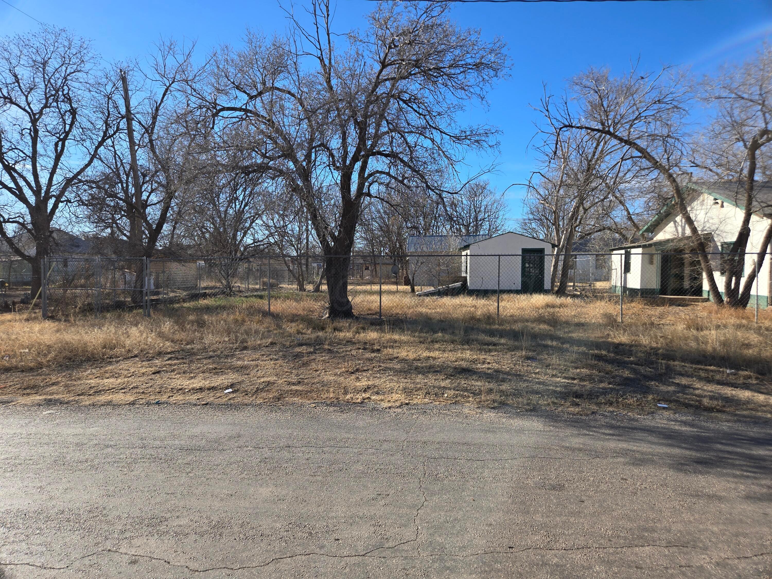421 North 8th Street Memphis, TX 79245 - Photo 37 of 40 a view of a yard with a tree
