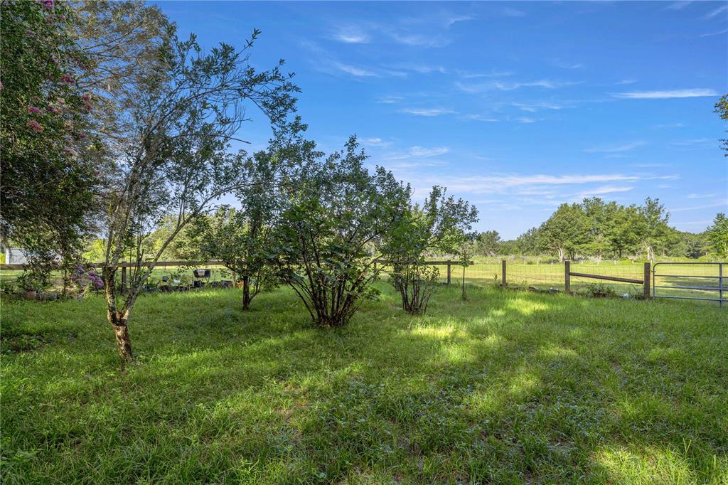 16250 Southwest 20th Avenue Road Ocala, FL 34473 - Photo 60 of 75